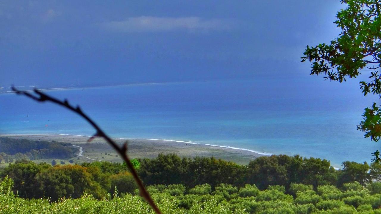 Villa Amalia Srls Gizzeria Bagian luar foto